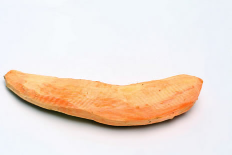 ͼĲ