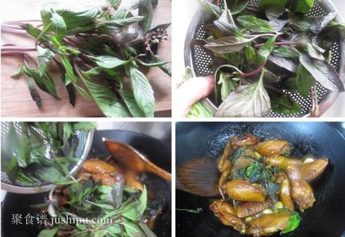 ������������� www.meitianmeiwei.com