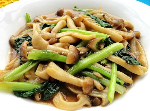 зζ˵ www.meitianmeiwei.com