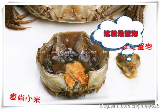 зħ www.meitianmeiwei.com