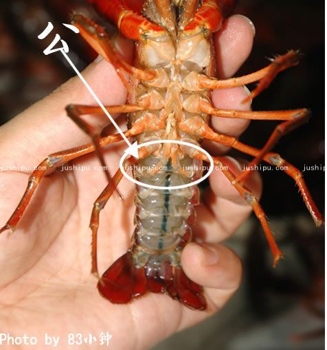Ϻ www.meitianmeiwei.com